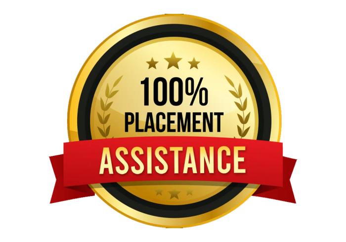 100% Placement Assistance Program On Java Developer & Dot Net Tickets by  Surendra NareshIT, Monday, September 25, 2023, Online Event